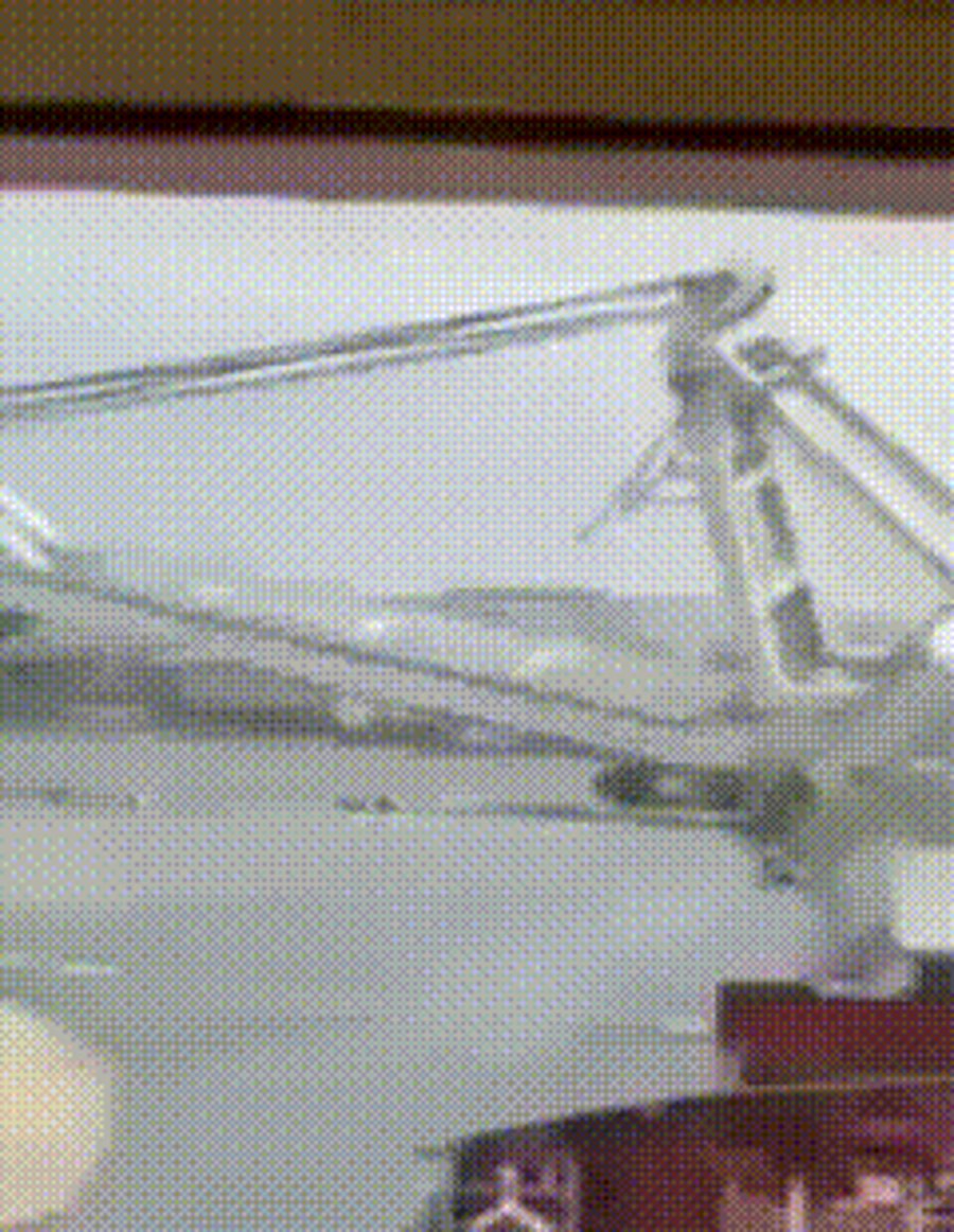 מנוף ענק רוסי יוצא משליטה
והתהפך בנמל הכבוש של סבסטופול | צפו
