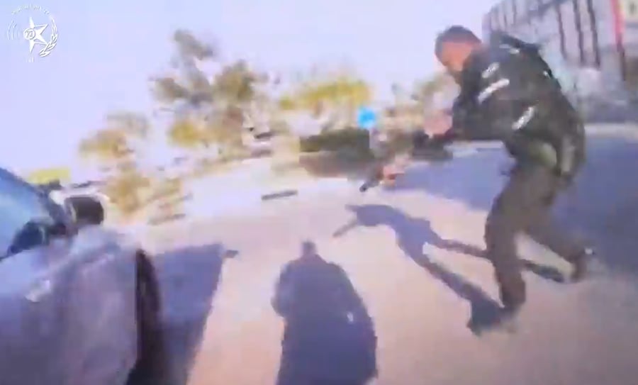 ממהלך הפעילות