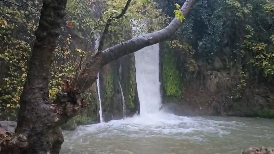 הזרימה במפל הבניאס בשעה 08:00 בבוקר