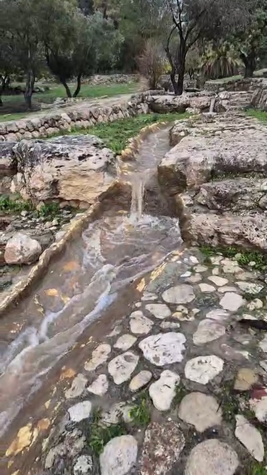 הזרימה בפארק קנדה