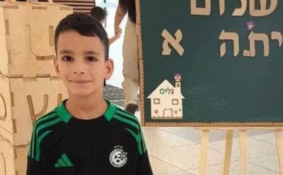 רועי בן דוד