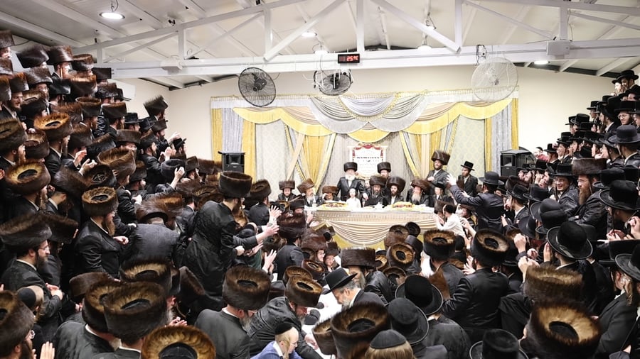 שבע ברכות בשילוב טיש ט"ו בשבט בזוועהיל