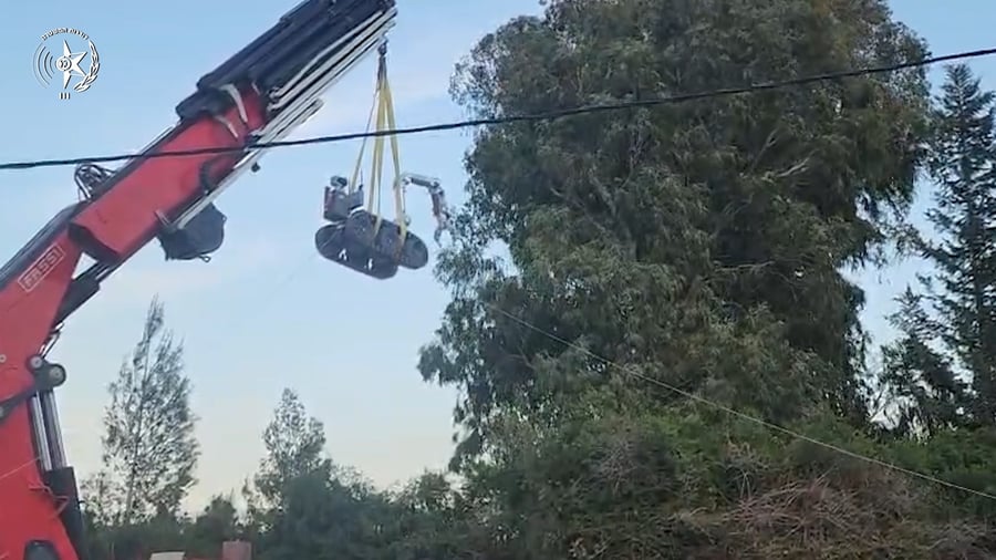 צפו בתיעוד