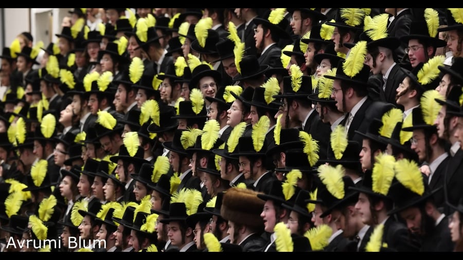 פורים בחצה"ק באבוב 45