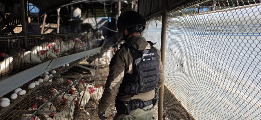 רקטה שפגעה בלול בצפון הארץ