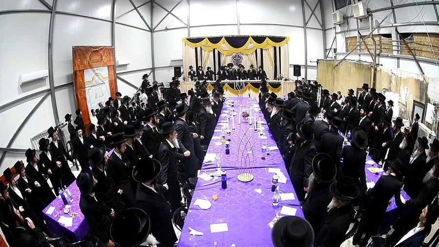 יום הצלה בחצה"ק זוטשקא 
