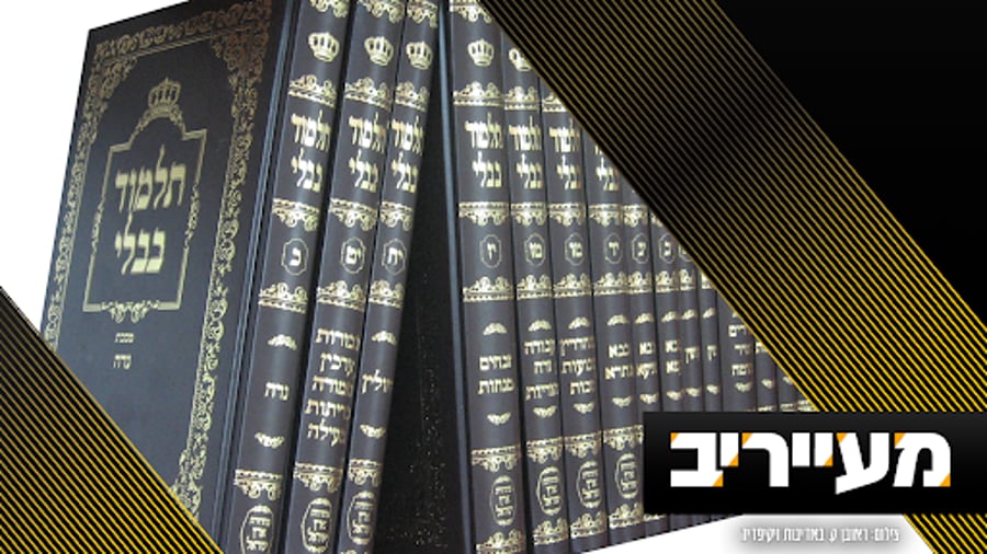 פרויקט בלעדי וראשון מסוגו: מה לומדים בזמן קיץ בישיבות, והאם יש הבדל בין השונאים למחבלים? • מעייריב