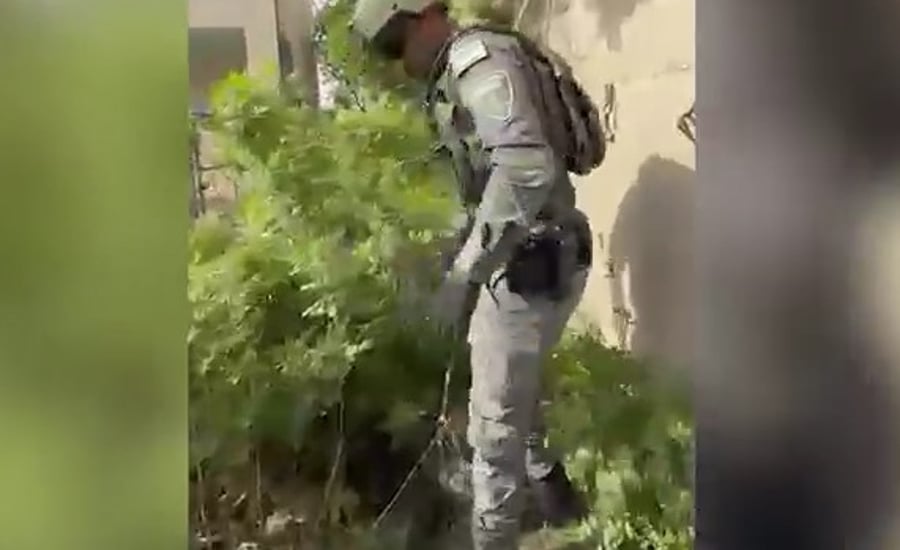 החשוד כמחבל גילה לחיילים: זה מה שמתחבא בתוך בית ספר קרוב