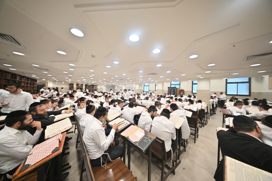 גרודנא אשדוד