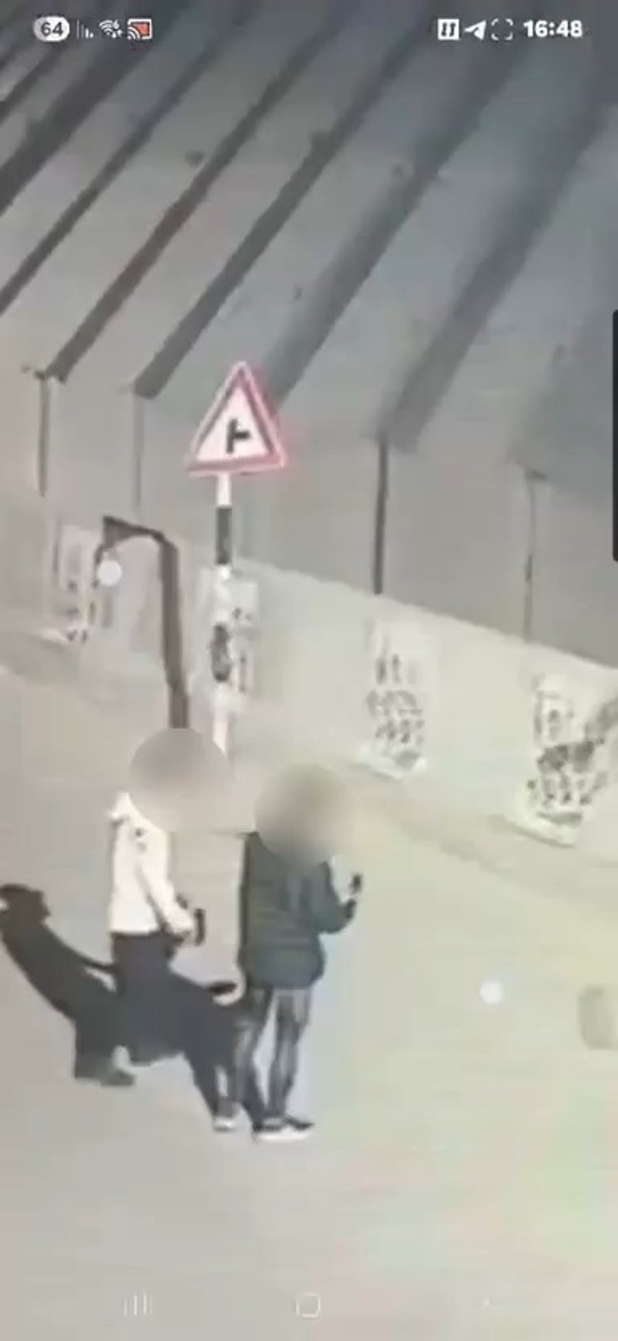 תיעוד מזריקת האבנים