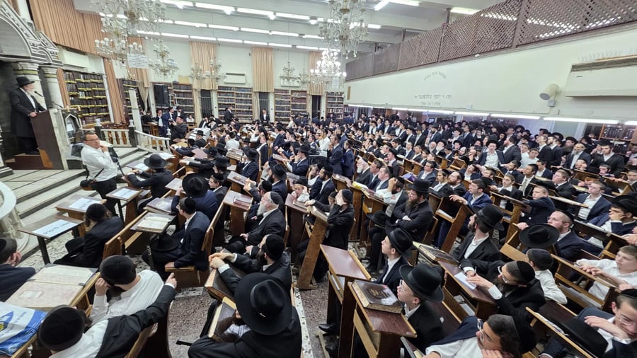 כולל חזון איש