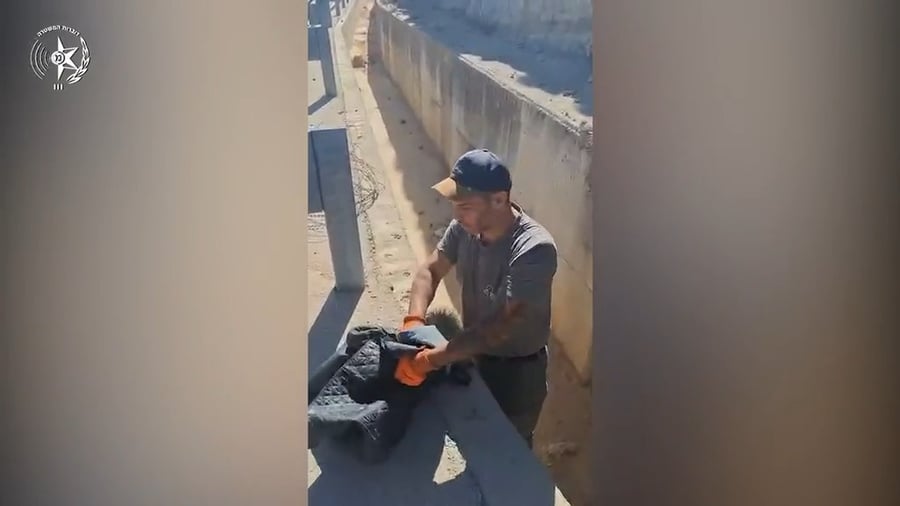 החילוץ של הגור