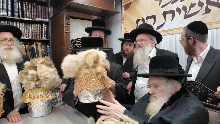 הגר"מ שטרנבוך במעמד 'ראשית הגז'