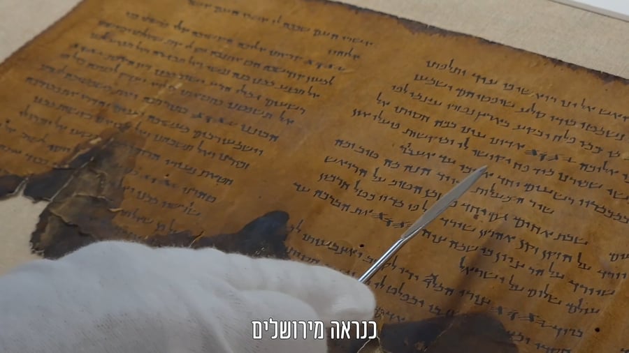 מגילות מדבר יהודה