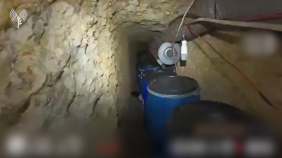 פעילות בלבנון