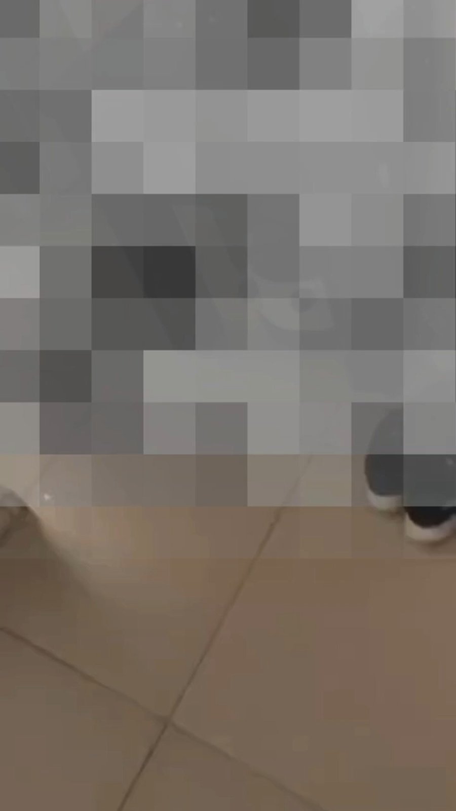 הסרטון המסעיר