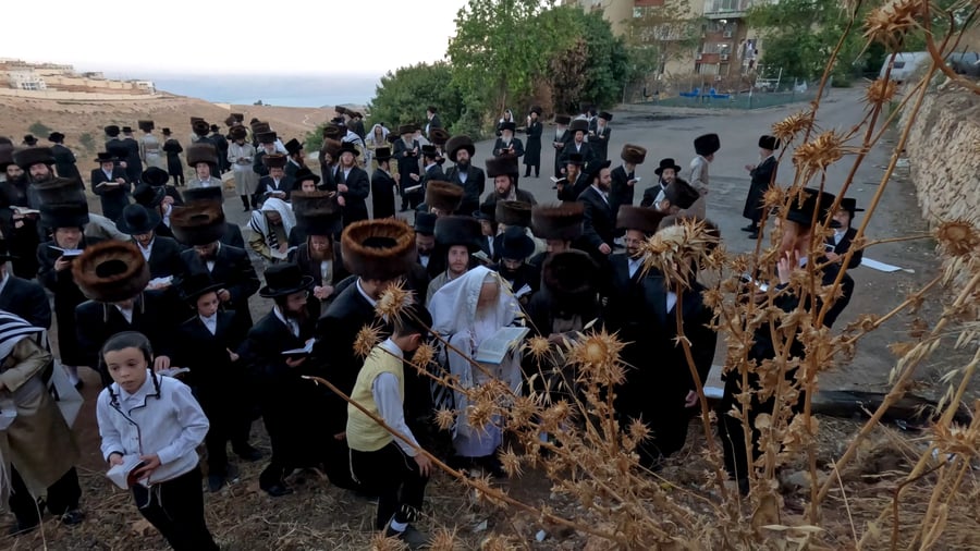 הגה"צ רבי אביש ציינווירט בקבלת שבת בצפת