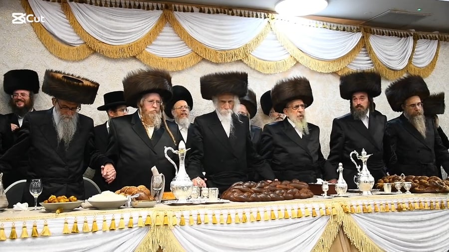 שמחת בית סטריקוב - זוויעהיל - לויעב