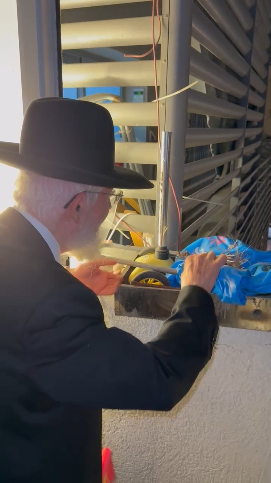 הגר"צ מאזוז בשילוח הקן