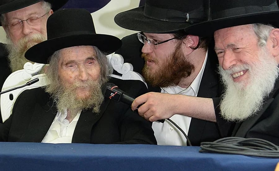 דוד שפירא