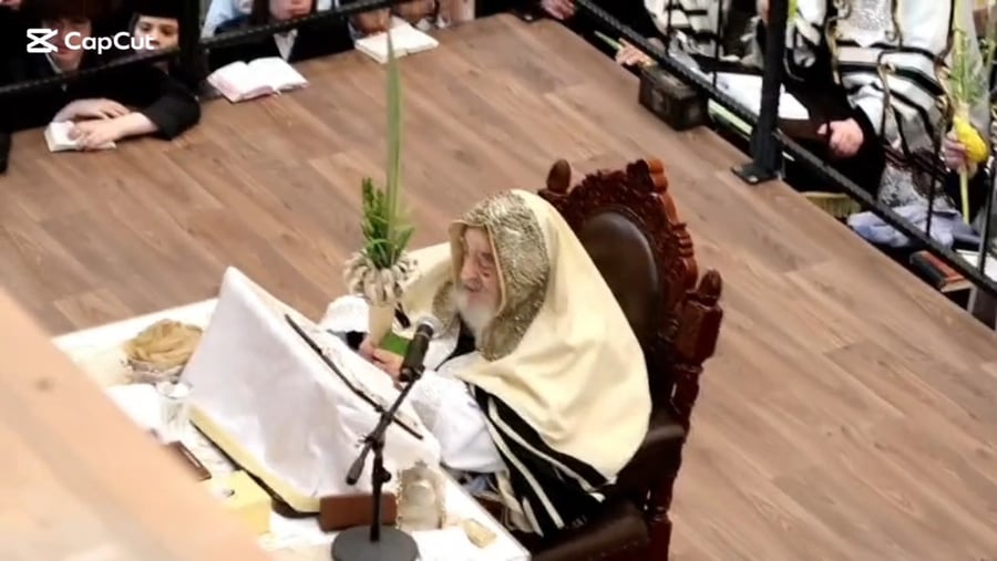 הושענא רבה ושמחת תורה בחצר הקודש ויז'ניץ | צילום: באדיבות המצלם