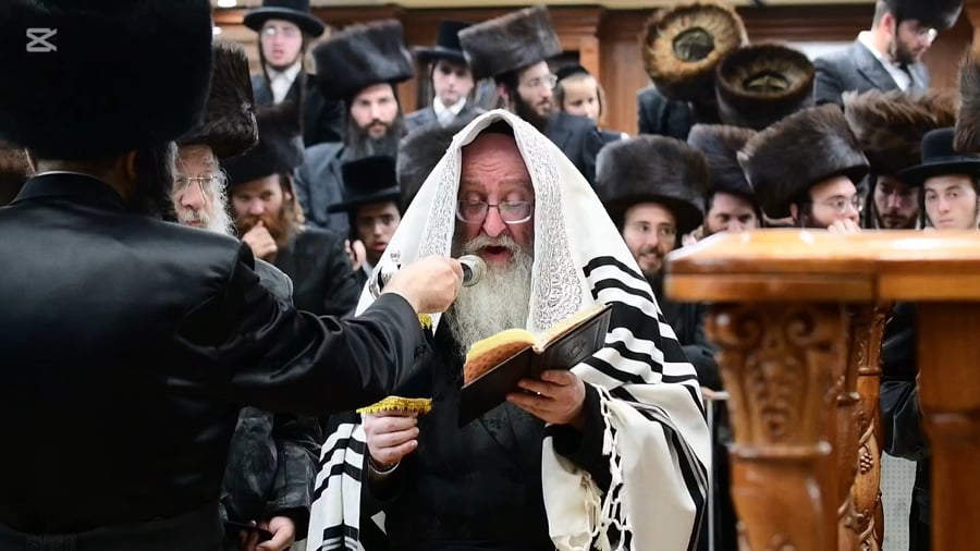 הקפות שניות בחצר הקודש ביאלה | צילום: שוקי לרר