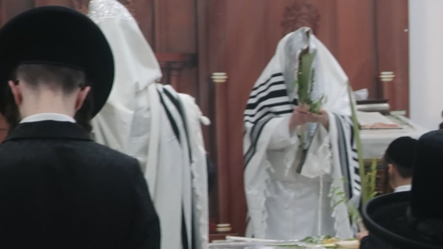 האדמו"ר מדינוב בהושענא רבה