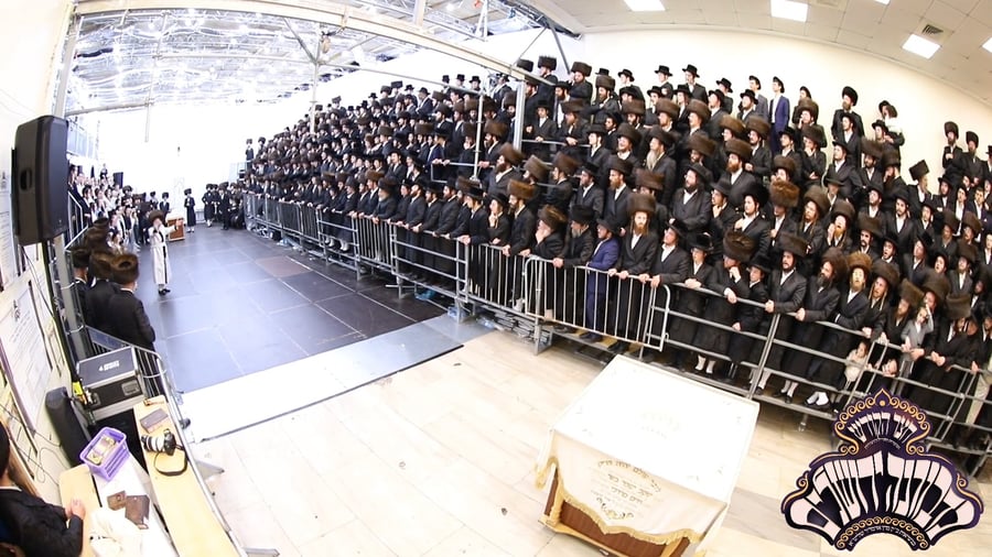 ירח האיתנים בחצר הקודש נדבורנה ירושלים | צילום: שימי פ.