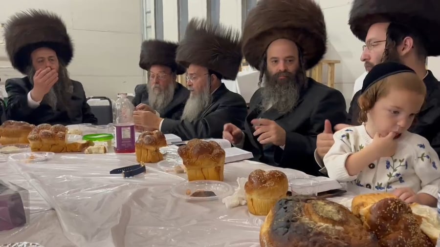 סעודה שלישית בקהילה החרדית בפלורידה | צילום: באדיבות המצלם