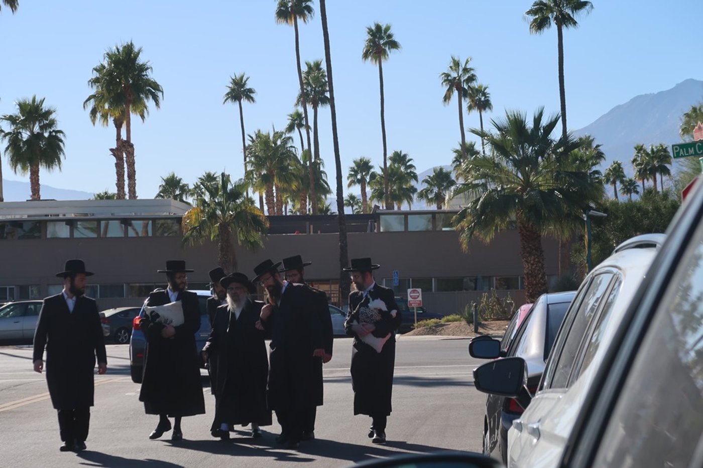 האדמו"ר מסאטמר במנוחה בפאלם ספרינגס