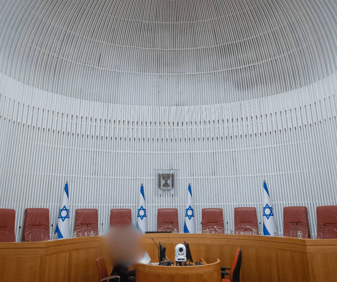 הליכוד במתקפה על מיארה: "יועצת להפלת הממשלה"