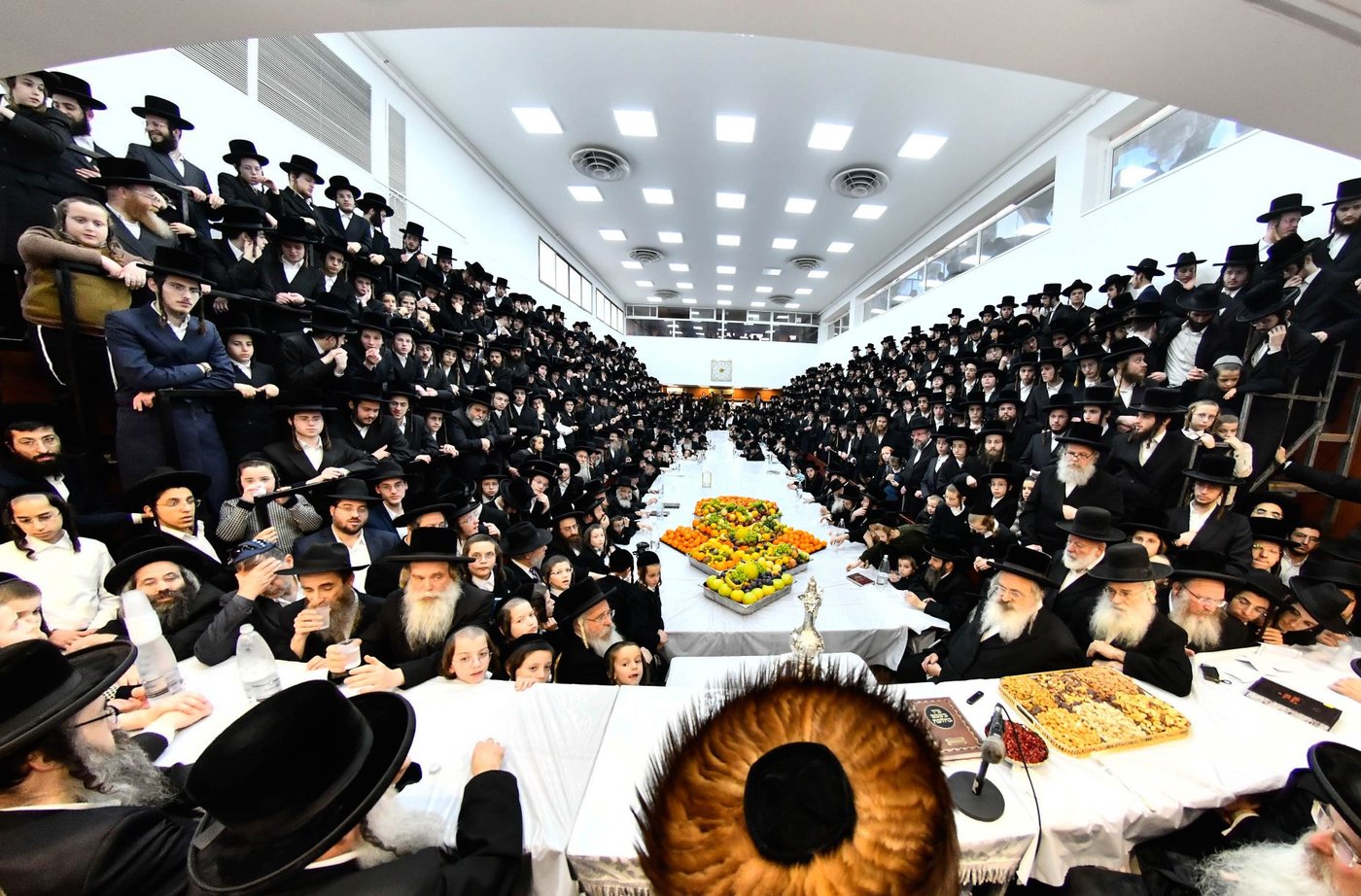 האדמו"ר מנדבורנה בטיש ט"ו בשבט