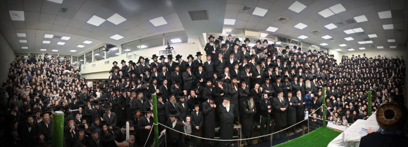טיש ט"ו בשבט, ומעמד פדיון 'פטר חמור' בנדבורנה ירושלים