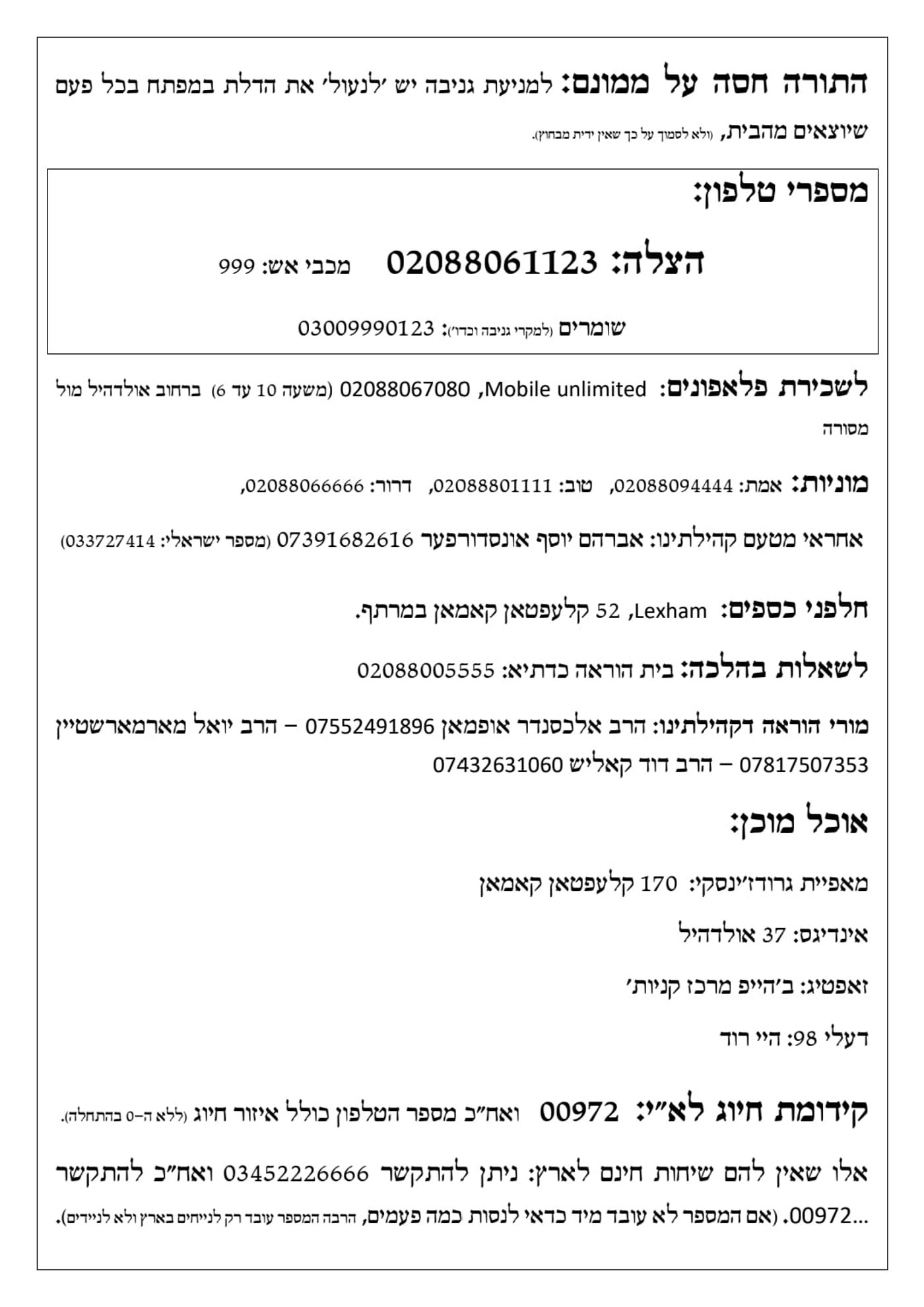 כללים ברורים לחציית כבישים: שמחת בית דושינסקיא בלונדון
