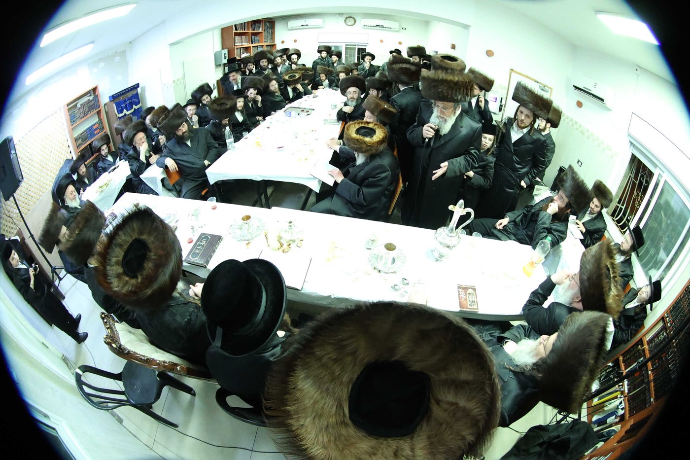 שמחת הלחיים לרגל קשרי השידוכין בחצרות ווערדאן - מישקולץ - עטרת צבי