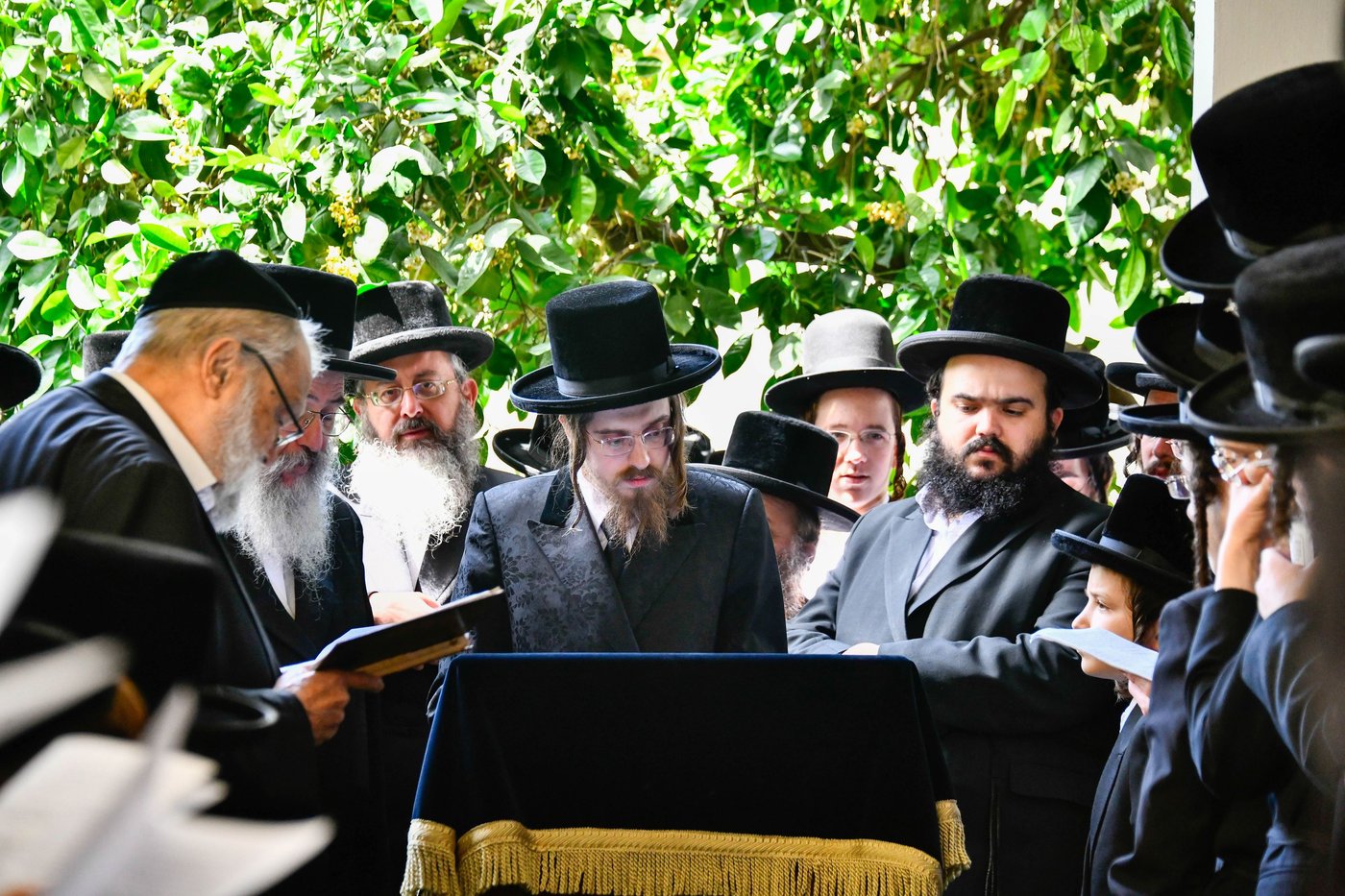 האדמו"ר מסאדיגורה בברכת האילנות 