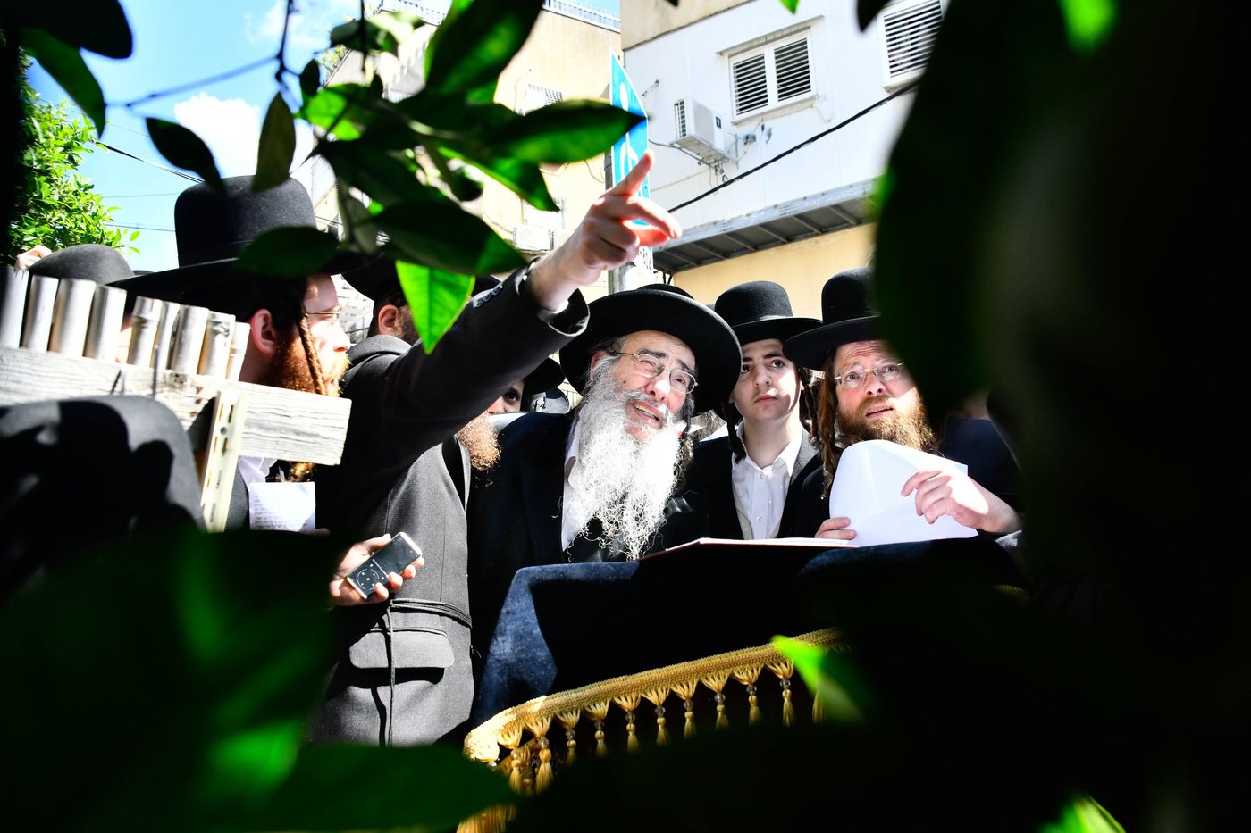 האדמו"ר מאלכסנדר בברכת האילנות