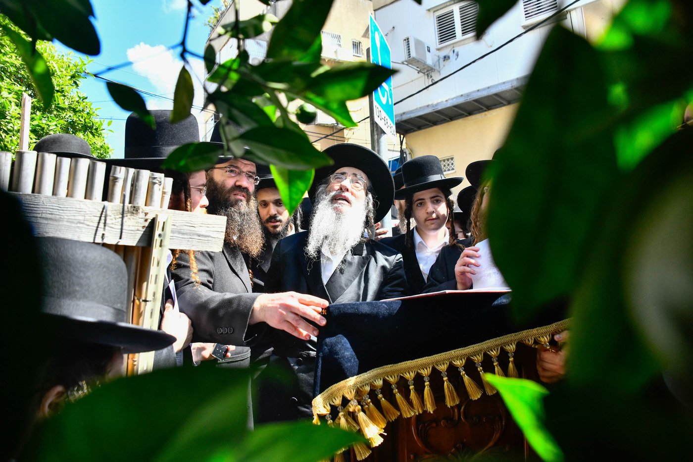האדמו"ר מאלכסנדר בברכת האילנות