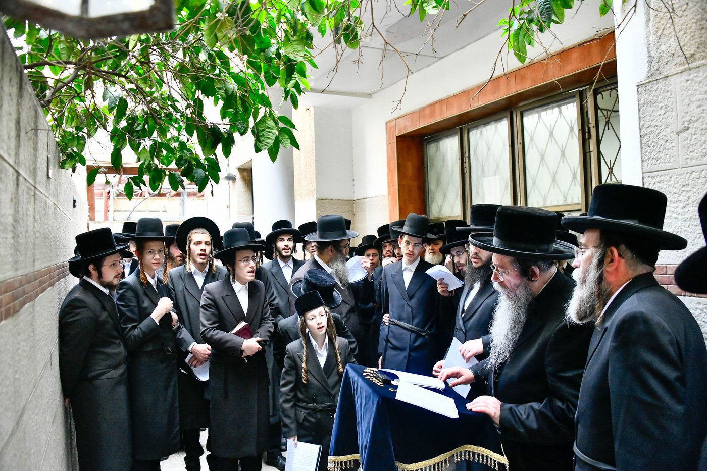 האדמו"ר משבט הלוי בברכת האילנות 
