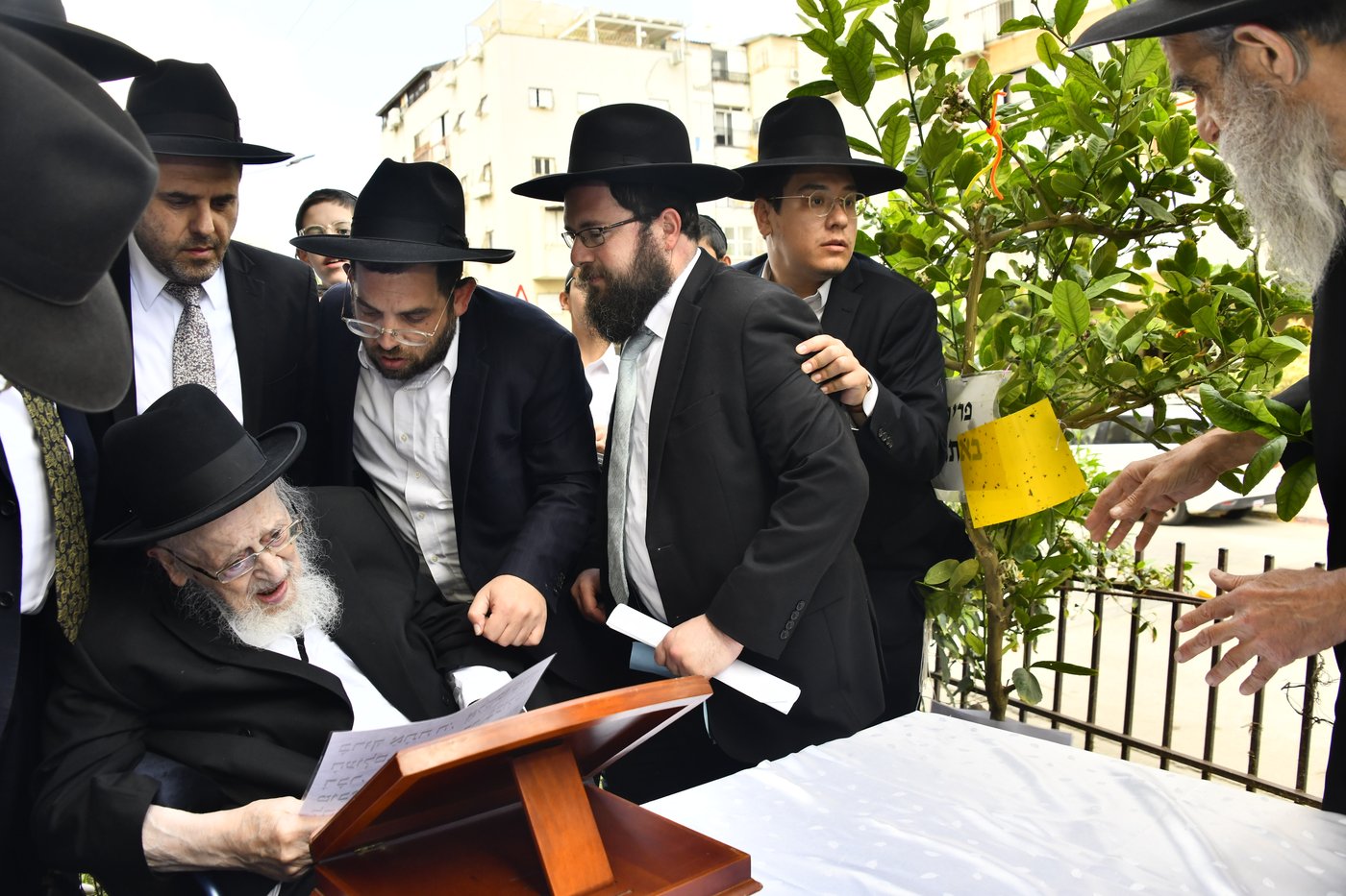 הגרמ"צ ברגמן בברכת האילנות