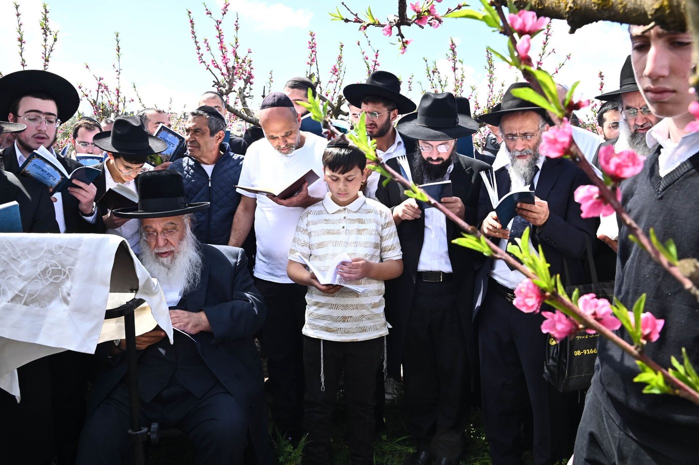 המקובל רבי בניהו שמואלי בברכת האילנות