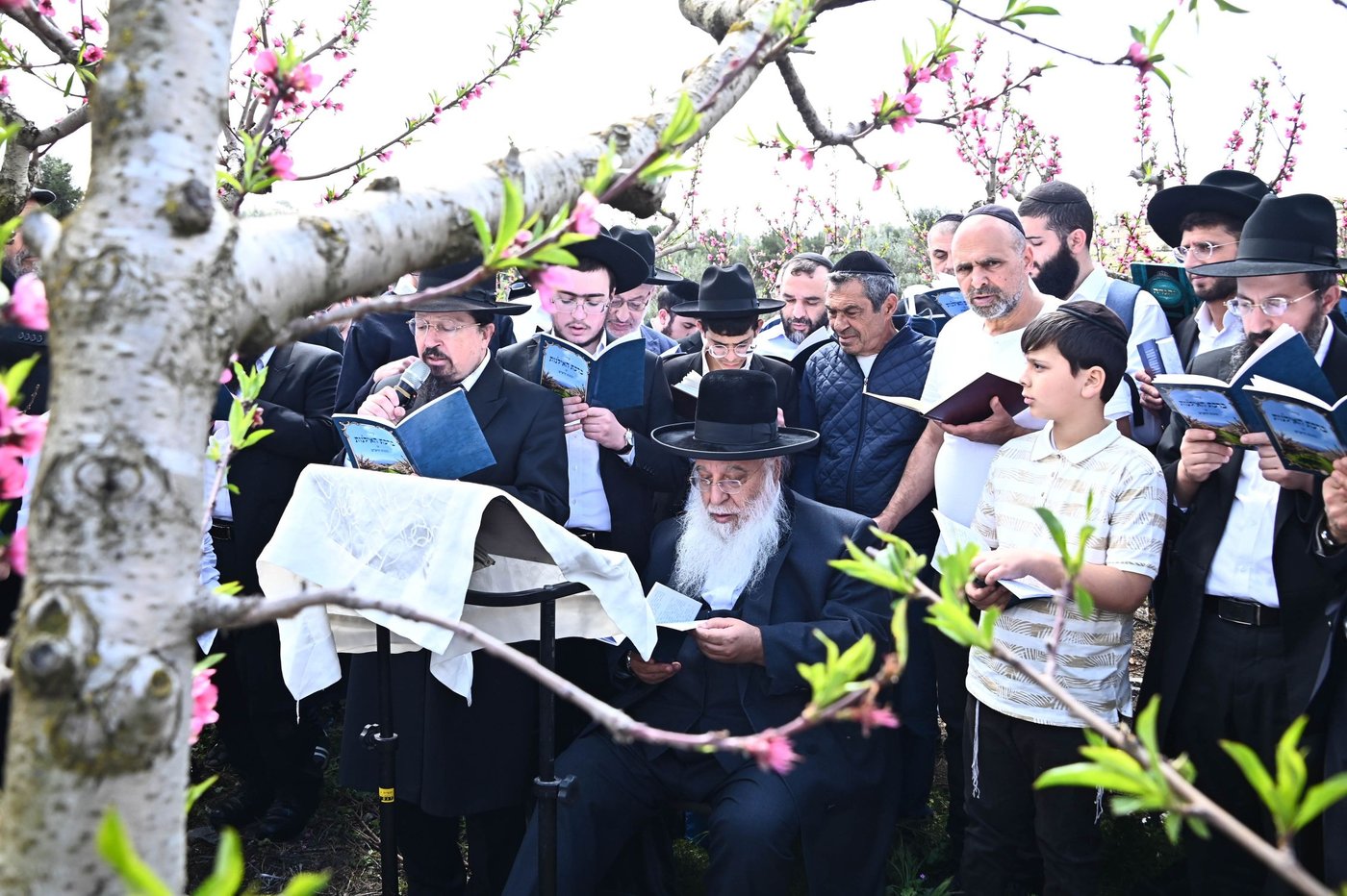 המקובל רבי בניהו שמואלי בברכת האילנות