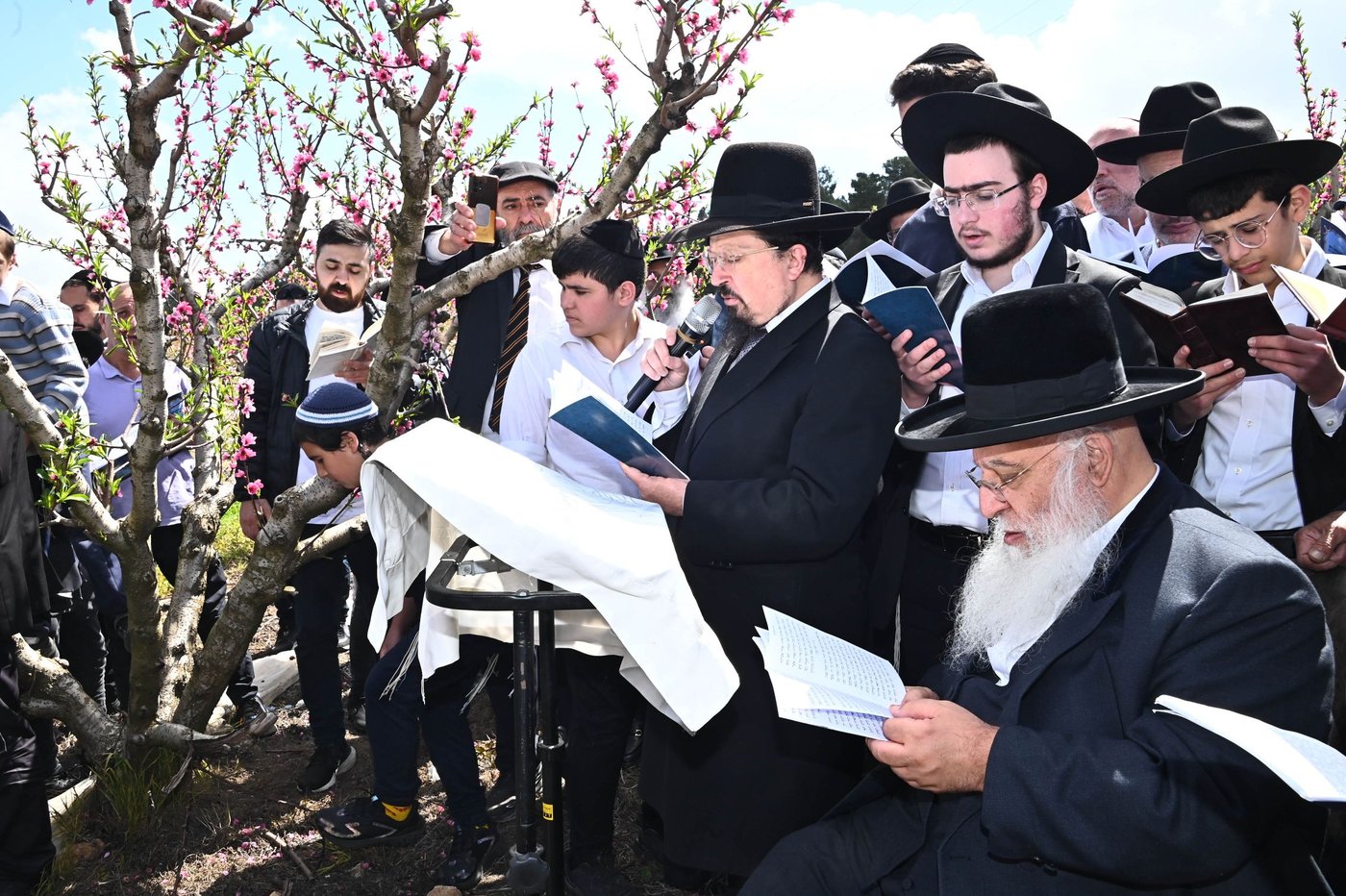 המקובל רבי בניהו שמואלי בברכת האילנות