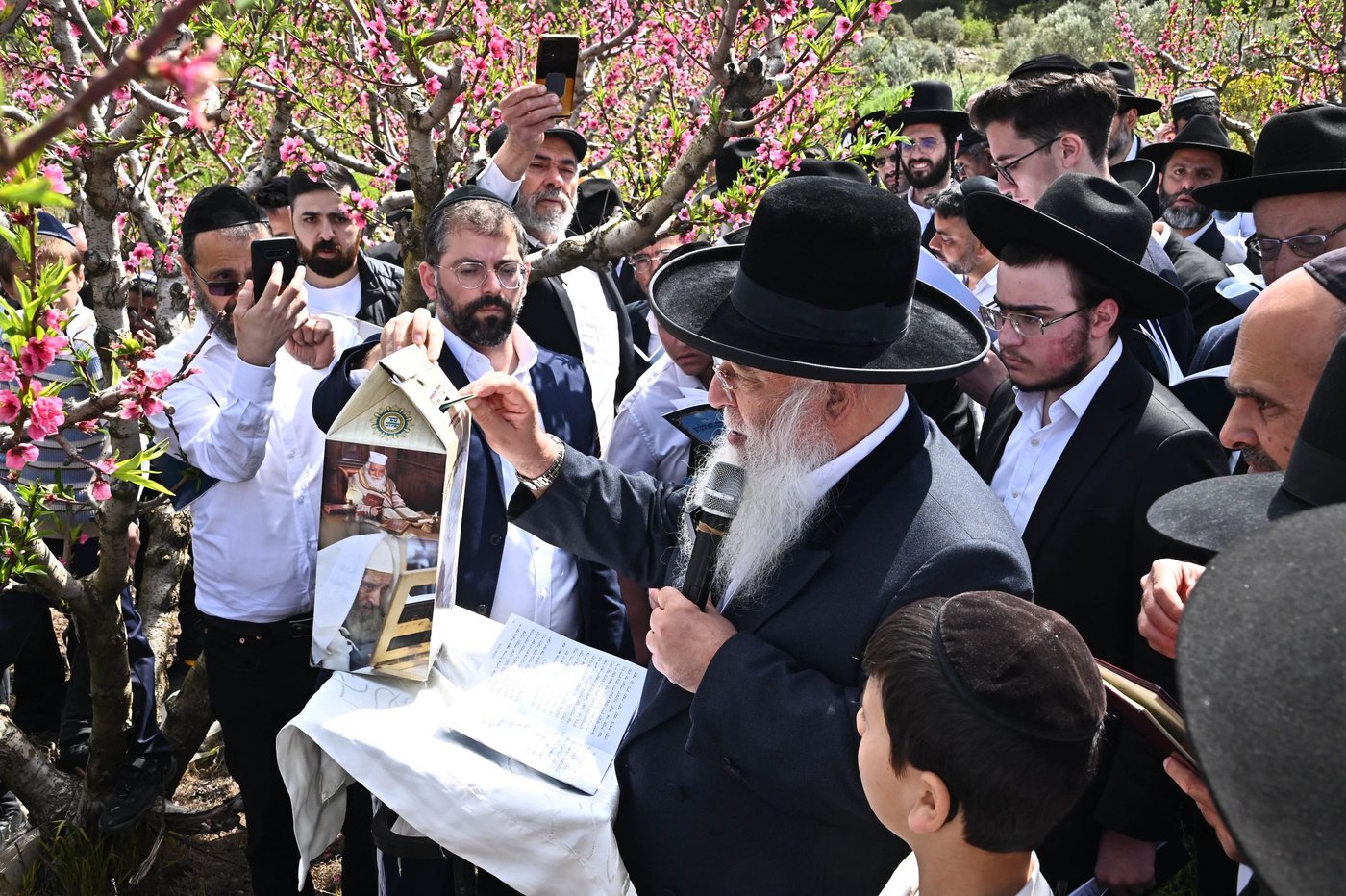 המקובל רבי בניהו שמואלי בברכת האילנות