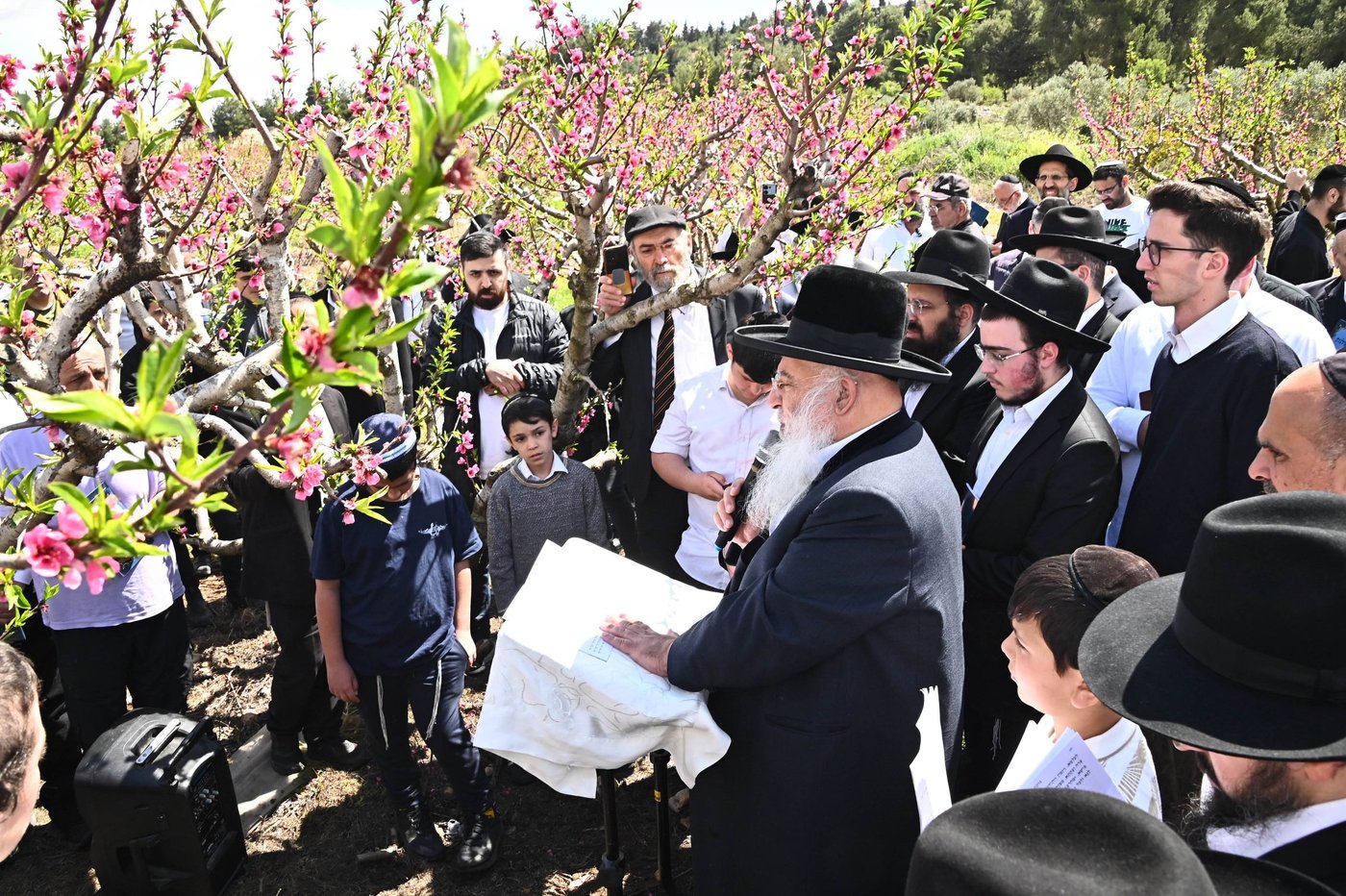 המקובל רבי בניהו שמואלי בברכת האילנות