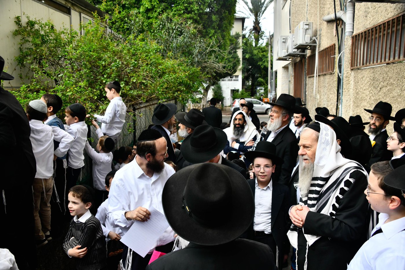 הגרמ"ש אדלשטיין בברכת האילנות