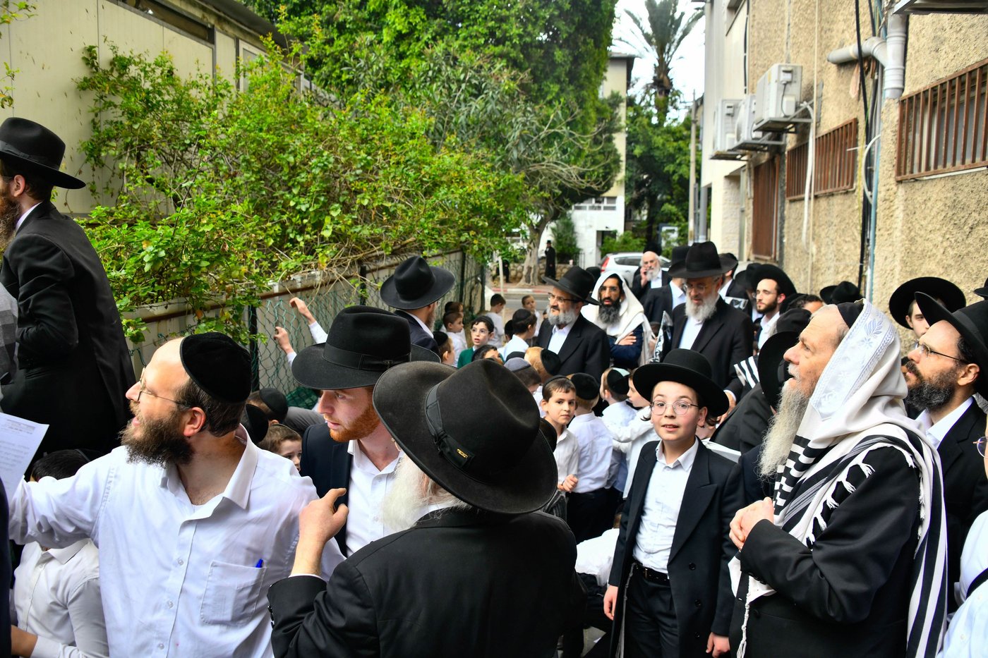הגרמ"ש אדלשטיין בברכת האילנות