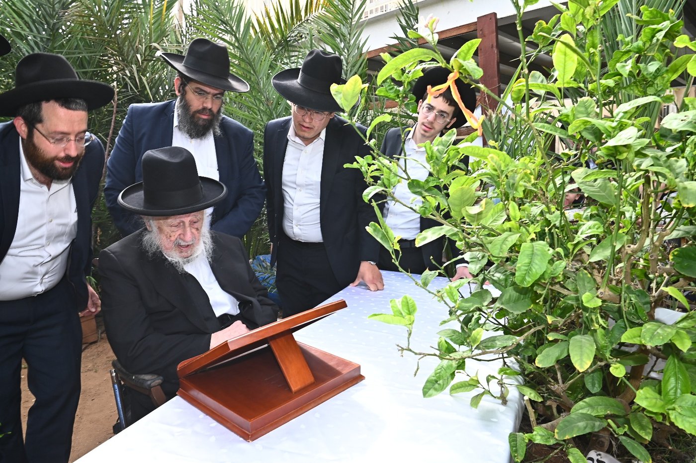 הגרב"ד פוברסקי בברכת האילנות