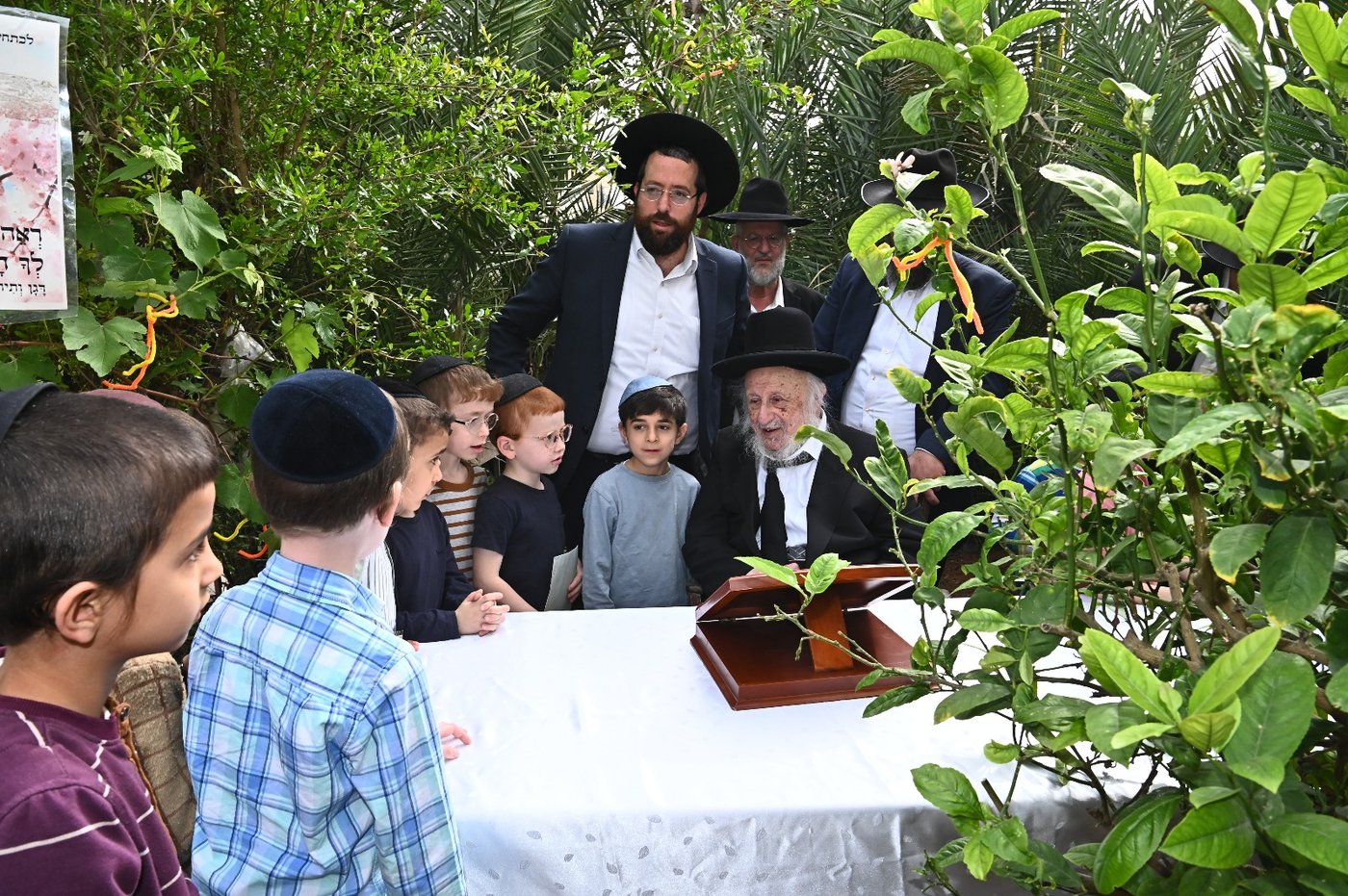 הגרב"ד פוברסקי בברכת האילנות
