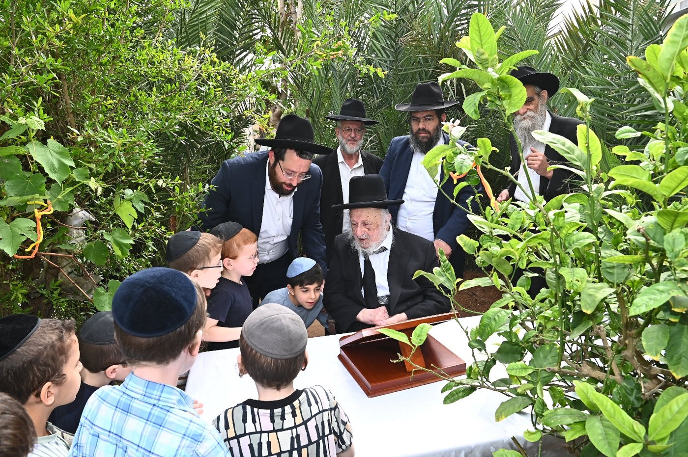 הגרב"ד פוברסקי בברכת האילנות